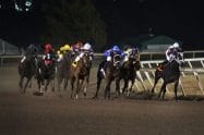 Where is the Preakness Stakes Run? Track location and Race Distance Revealed