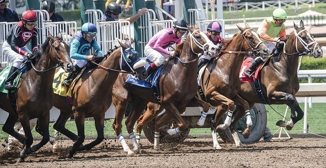 watch horse racing live