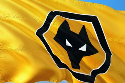 Tottenham Hotspur and West Ham want Wolves winger Adama Traore