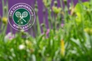 Wimbledon Seeds 2022 Announced &ndash; The Men&rsquo;s Event