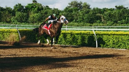 Melbourne Cup 2022 prize money: A full breakdown