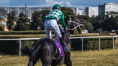 Melbourne Cup scratchings: Loft withdraws, added to non-runners list