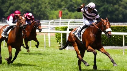 Melbourne Cup 2022 sweepstake: How to run a sweep and split winnings