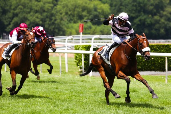 Melbourne Cup Sweepstakes