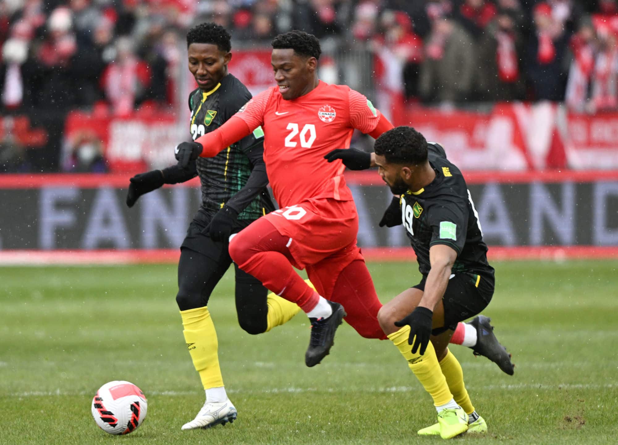 Icon sipausa 38402514