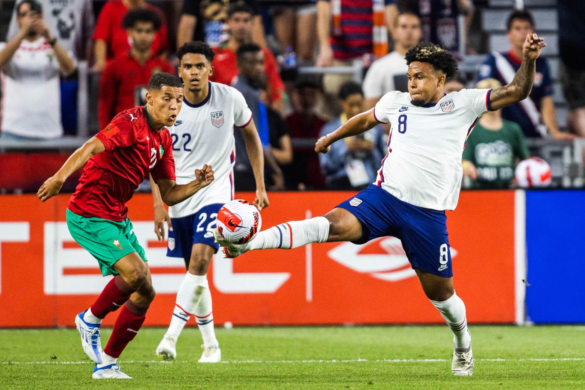 Icon sipausa 39686642