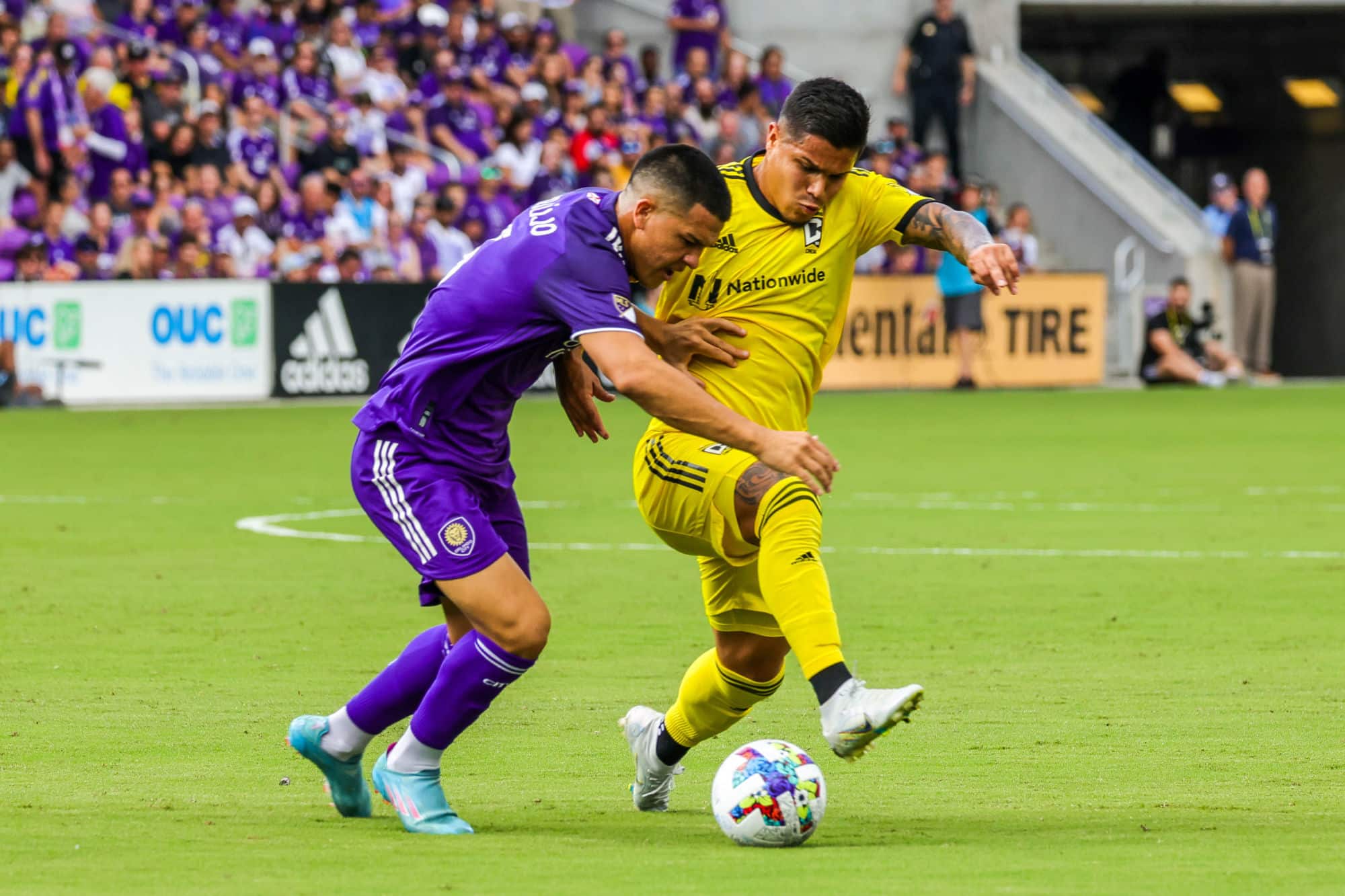 Icon sipausa 41997597