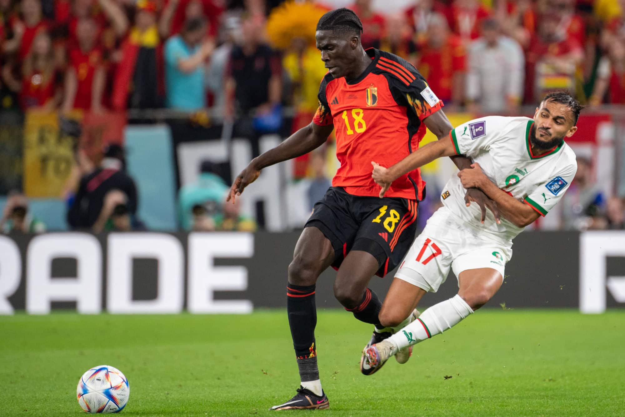 Icon sipausa 43019906