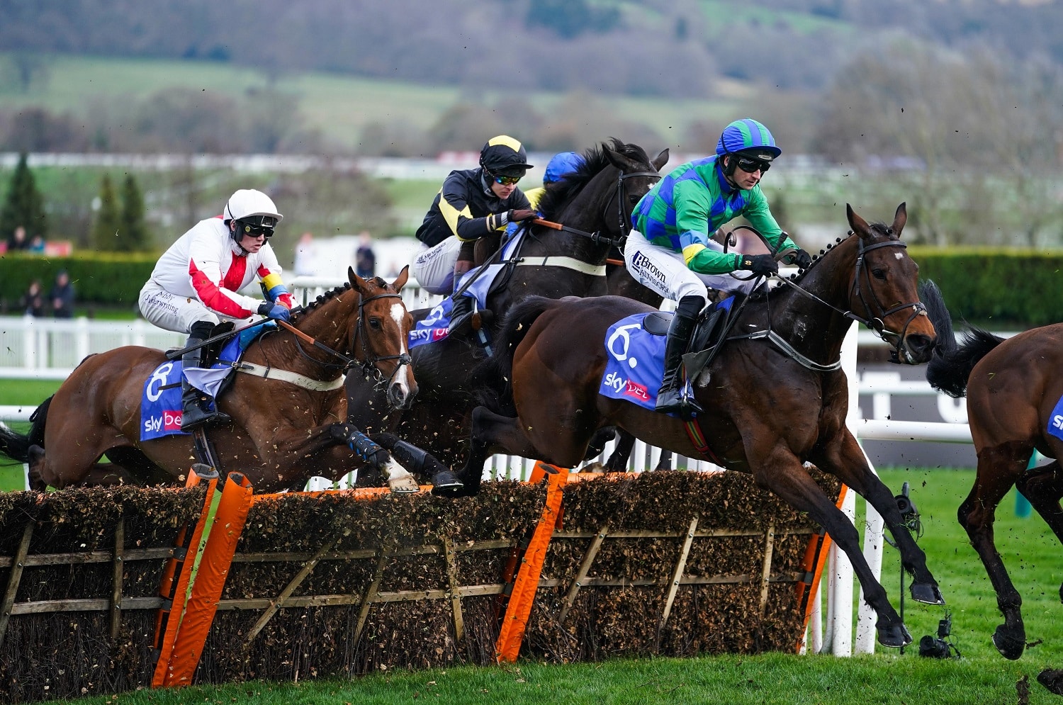 Cheltenham Festival 2023