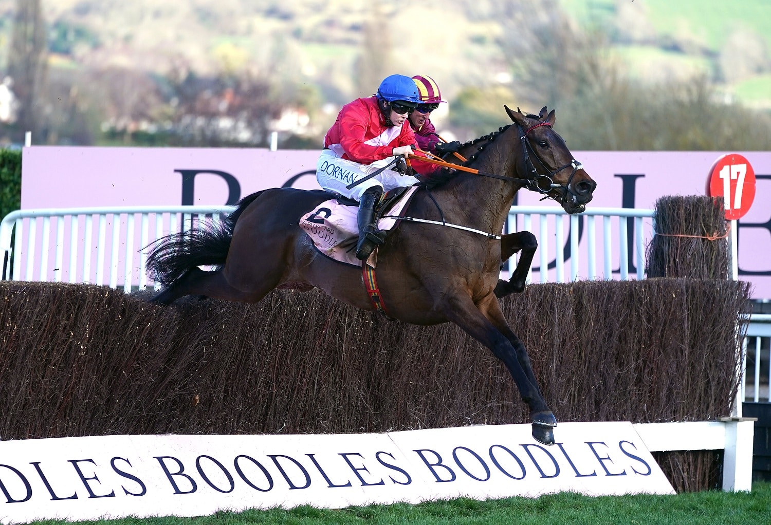 Cheltenham Festival