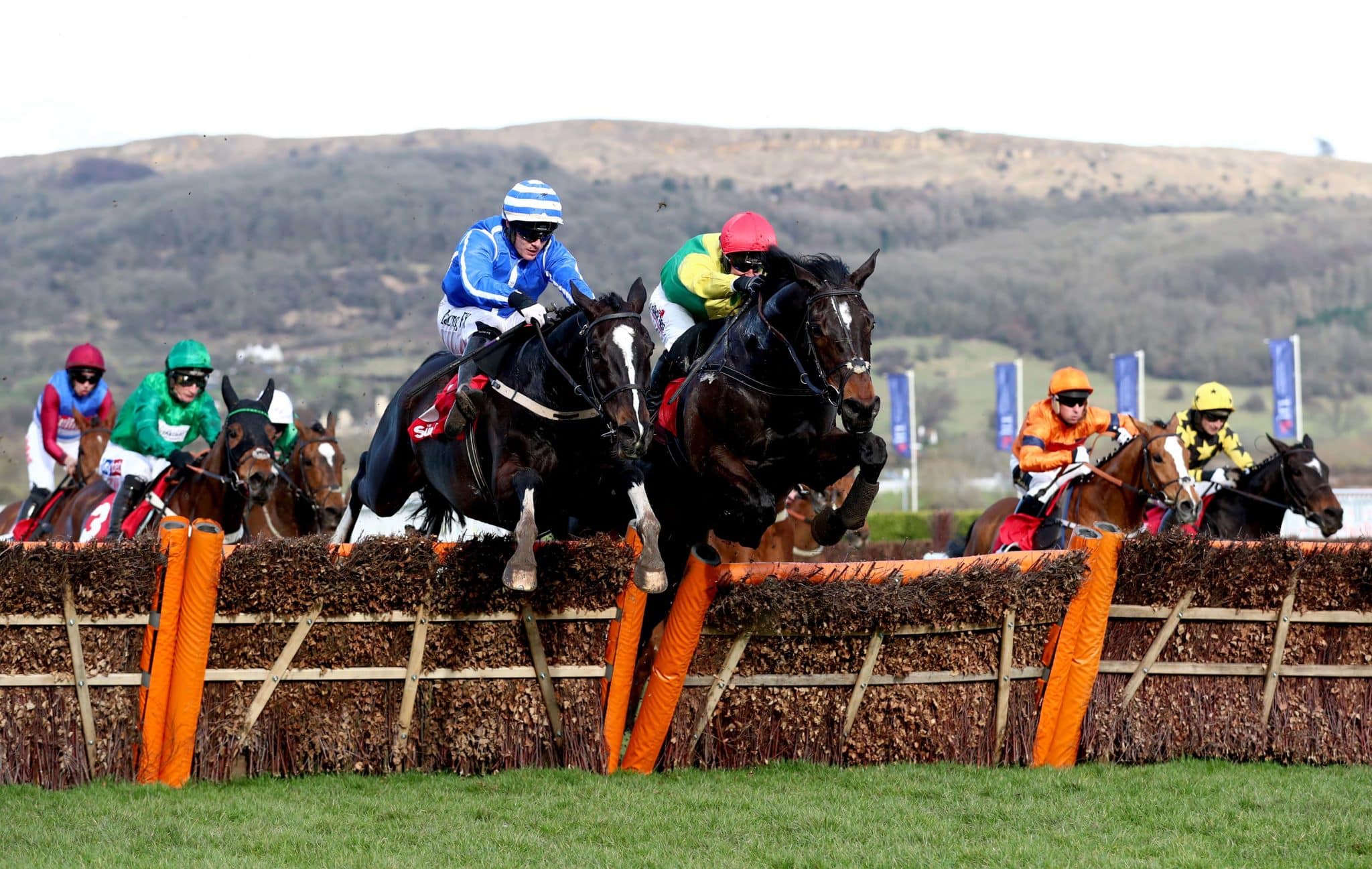 Cheltenham Stayers Hurdle