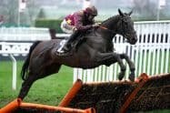 Cheltenham Gold Cup History: All Past Winners and Trends Listed