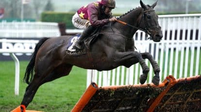 Cheltenham Gold Cup History: All Past Winners and Trends Listed