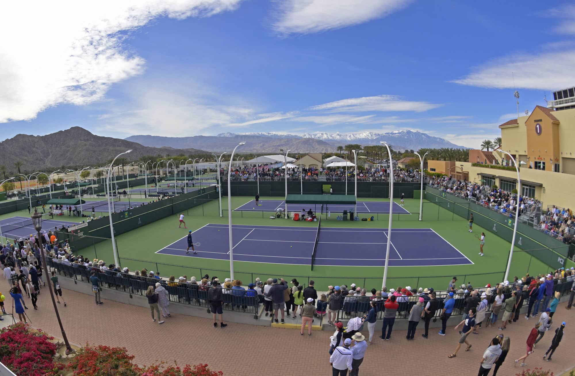 Indian Wells Betting Odds