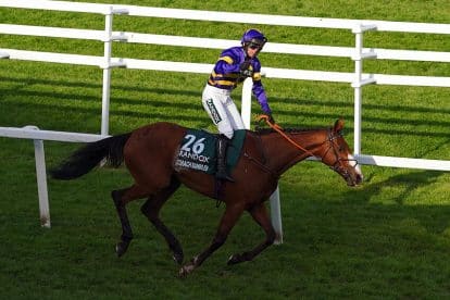 Grand National 2023: How much did I win on today&rsquo;s race?