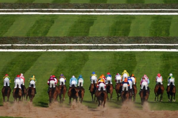 Grand National Fatalities