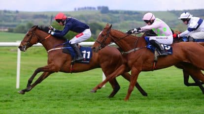 Grand National 2023: Sweepstake &ndash; Run Your Own Office or Family Sweep with This Kit