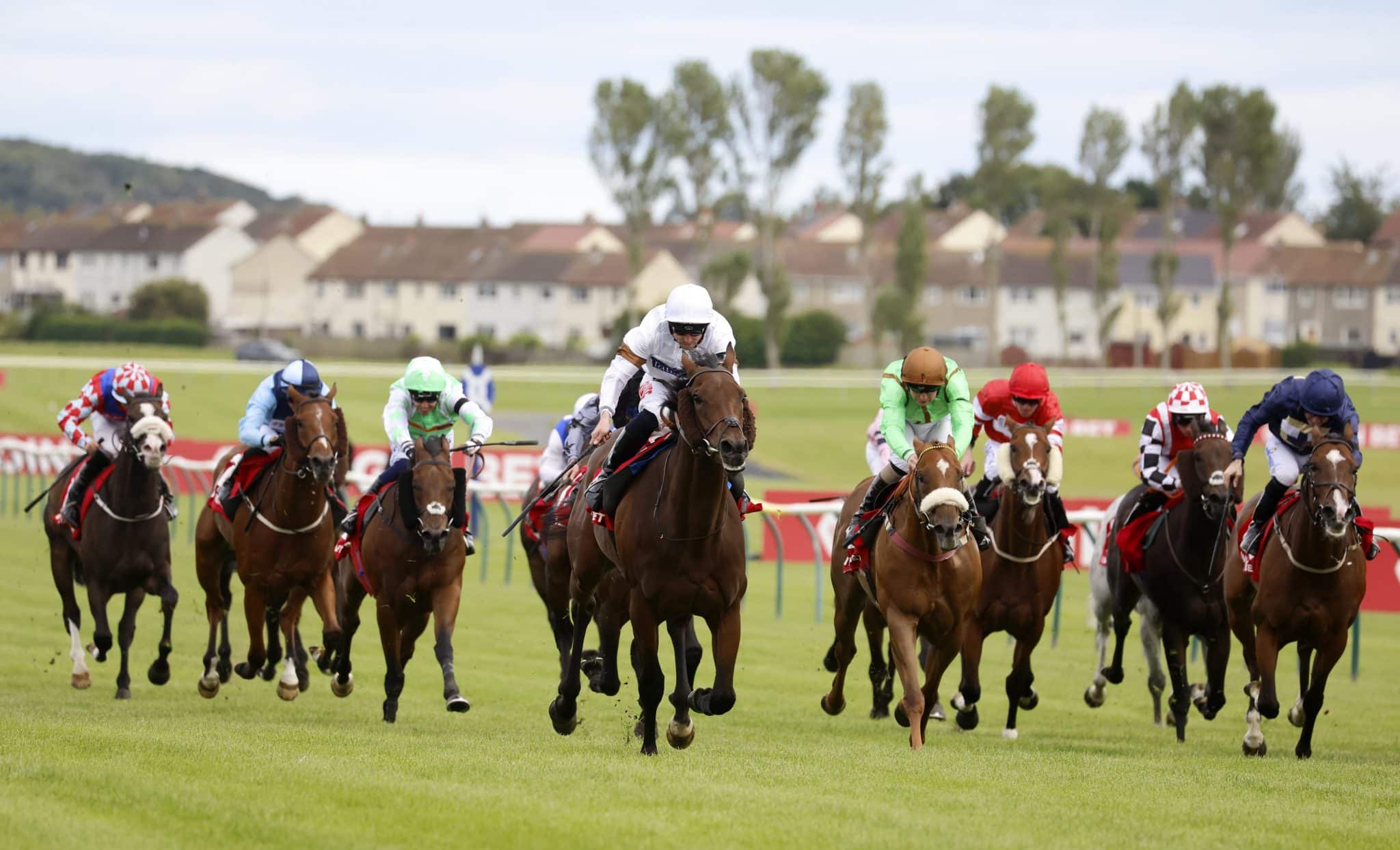 Ayr Tips Scottish Grand National