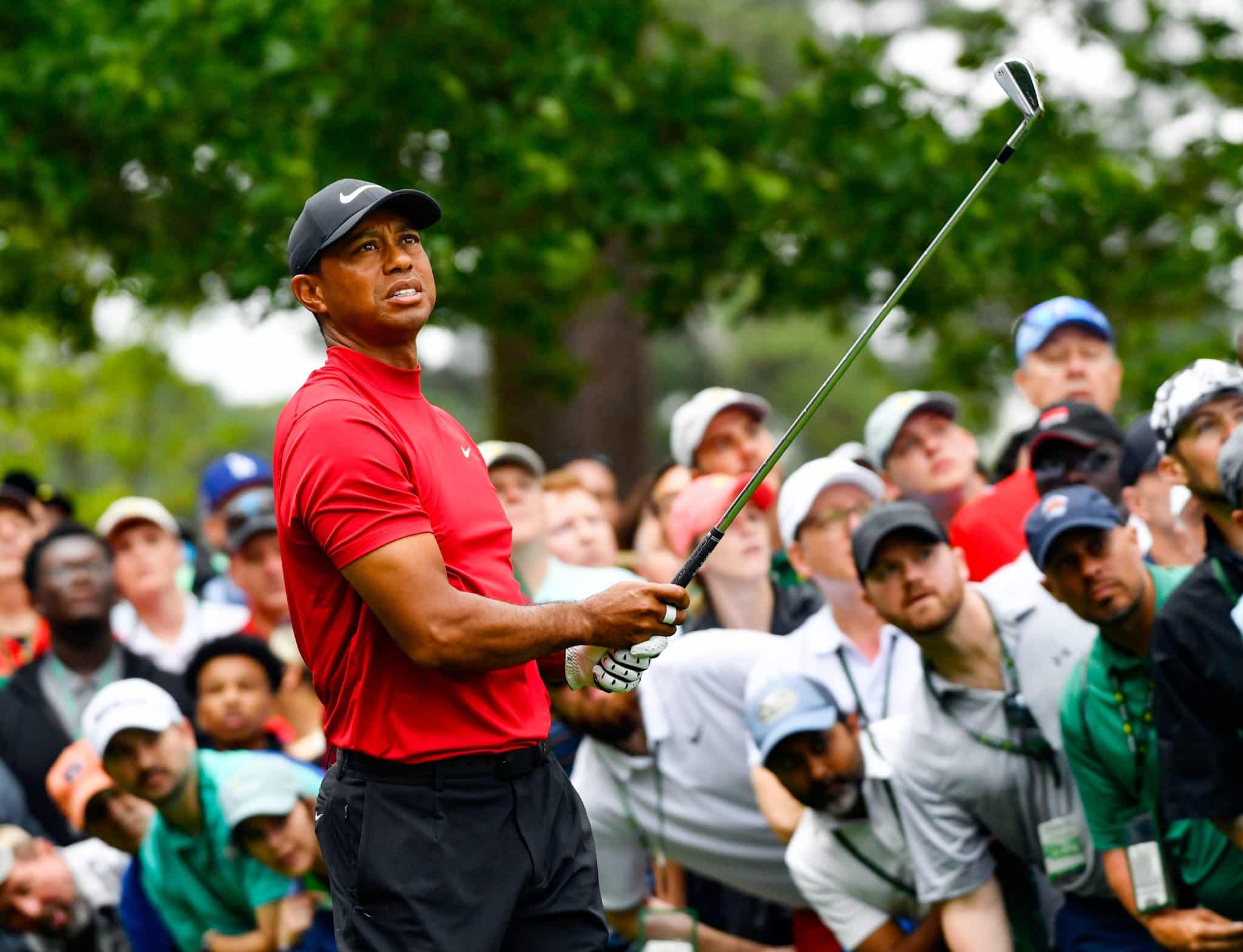 Tiger Woods Masters preview