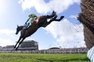 How Many Places Are Bet365 Paying on the Grand National: Full Each Way Terms Revealed