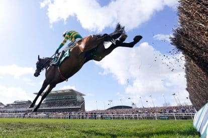 How Many Places Are Bet365 Paying on the Grand National: Full Each Way Terms Revealed