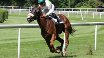 Best Epsom Derby 2023 Betting Tips and Predictions