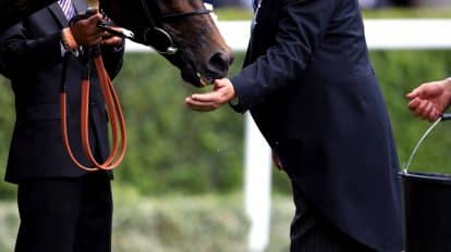 The Prince of Wales&rsquo;s Stakes Tips and Predictions 2023