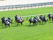 Lucky 15 tips for today&rsquo;s racing 28/04/2026