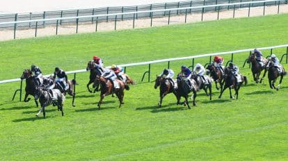 Lucky 15 tips for today&rsquo;s racing 19/06/2026