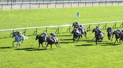 Sprint Cup Haydock day 2 tips &ndash; Alseeyerthere can see winner&rsquo;s enclosure