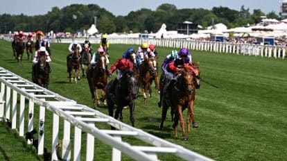 Best Sprint Cup Haydock 2023 betting tips and predictions