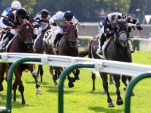 The Everest horses &ndash; complete field, odds, and top betting tips