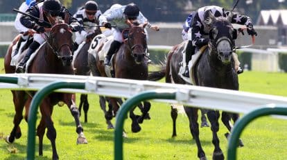 The Everest horses &ndash; complete field, odds, and top betting tips