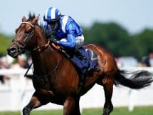 Champions Day Ascot 2023 prize money: How much will the winner get