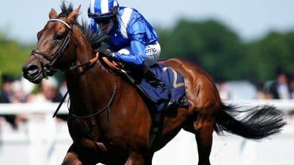 Champions Day Ascot 2023 prize money: How much will the winner get