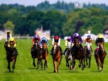Qipco British Champions Sprint Stakes &ndash; complete field, odds, and top betting tips