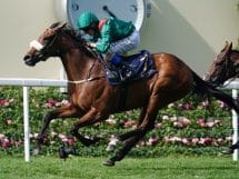Queen Elizabeth II Stakes &ndash; complete field, odds, and top betting tips