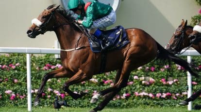Queen Elizabeth II Stakes &ndash; complete field, odds, and top betting tips